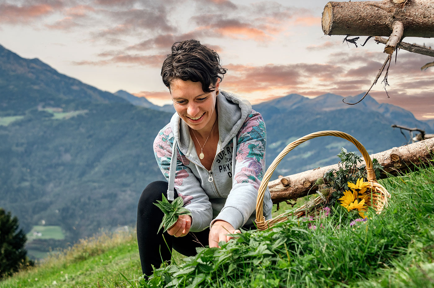 Essbare Wildkraeuter Herbst